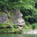 気に食わない。