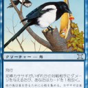 カササギブルー