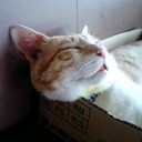 公衆の面前で、