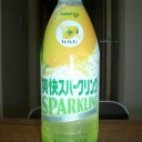 肉模擬へのチャレンジその３９