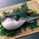 日曜日はばっちり寝過ごした。