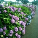 メールじゃなくてお金が貯まればいいのにね　“ぐずぐず娘とげんなりオカアサンの愉快な日常”　の巻