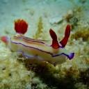 お魚天国