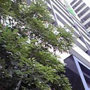 ほっ・・・とした気持ち