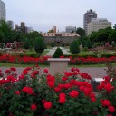 公園巡り