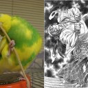 ７月７日はイオナの日