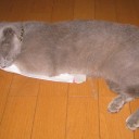 １に連絡２に連絡３・４がなくて５に連絡　“３４℃の汚部屋で描く予定のあれこれ”　の巻