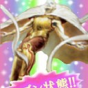 【M11】新規カードオークション落札価格参考