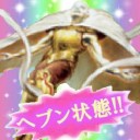 【M11】新規カードオークション落札価格参考