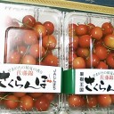 　ボツボツ