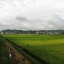 田園風景