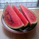 夏はやっぱ…