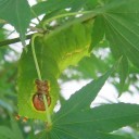 夏休み２日目　“うんざりハウスへようこそ”　の巻