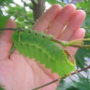 夏休み２日目　“うんざりハウスへようこそ”　の巻