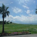 夏を感じたくて