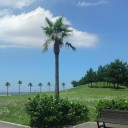 夏を感じたくて