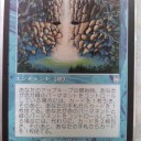 EDHスリヴァー
