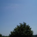 夏まっさかり