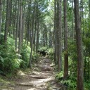熊野古道へ