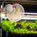 アクアリウム　お魚さま～
