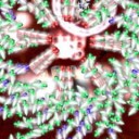 我が生涯に一片の悔いなし