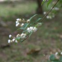 まだ来ないって？　何が？
