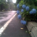 雨の中のランニング
