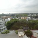 初めて見たわ・・・