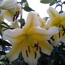 7月30日