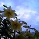 8月1日