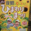 座間ひまわり祭り