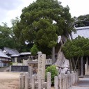 諸々の話（8/9）