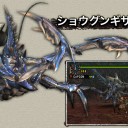 久々モンハン日記