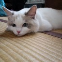 大きくなったなぁ