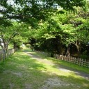 キラキラ