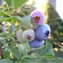 8月10日