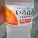 私はこれで生きている