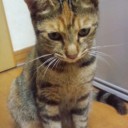 帰ってきたぞーの話