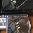 ブラックロックシューターの商品にすっかり嵌ってしまったわけだが・・・