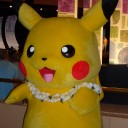 wcs2010