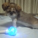 ペンライトに困惑