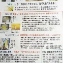 　ハエ～