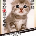日常　　無理ゲー・・・