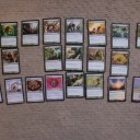Limits gateway in Fireball Gifu