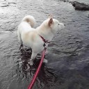 もうとっくに言い飽きているが・・・