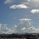 月曜〓買い物と写真と〓