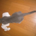 うんざりでげんなりでぐったりでがっかり　“怒るか？泣くか？倒れ込むか？”　の巻