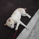 ９月に入ったが・・・
