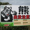 涼を求めて山に登ってきた