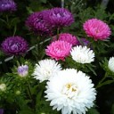 2010年9月8日